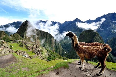 And Machu Picchu Peru 16001067 197779 For Your Mobile And Tablet