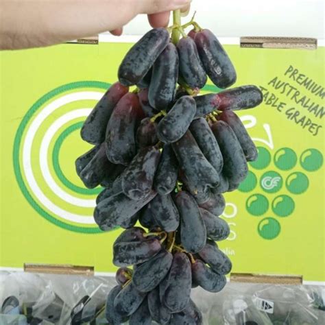 Jual Anggur Hitam Moondrop Black Seedless Grapes Cirillo Farms