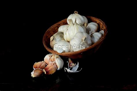 Garlic Art By Concharts Redbubble
