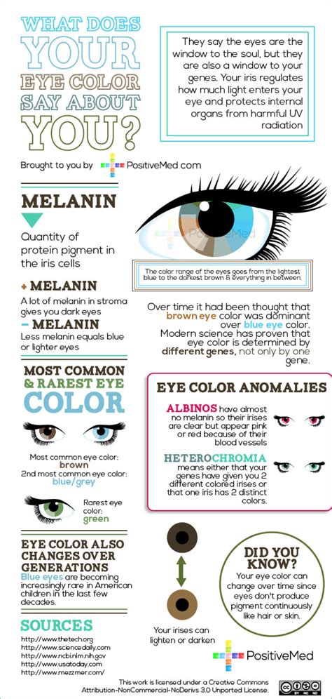 What Does Your Eye Color Say About You Positivemed