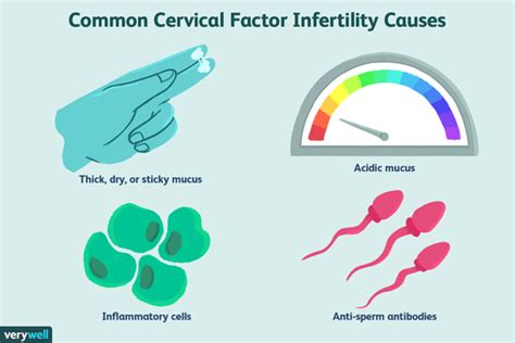 No Cervical Mucus Learn Why And What To Do