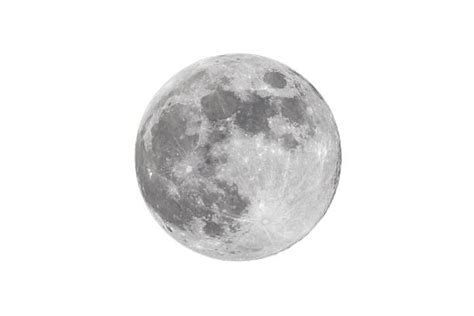 Royalty Free Moon White Background Pictures Images And