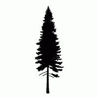 Pine Tree svg, Download Pine Tree svg for free 2019