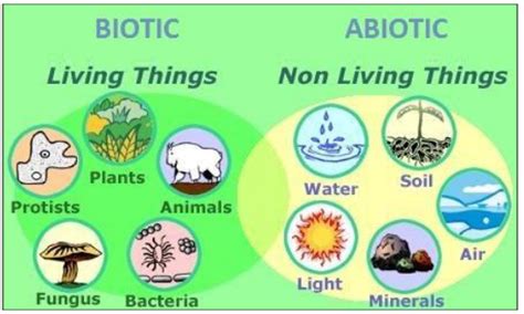 Natural Resources Cbse Class 9 Science Notes Chapter 14