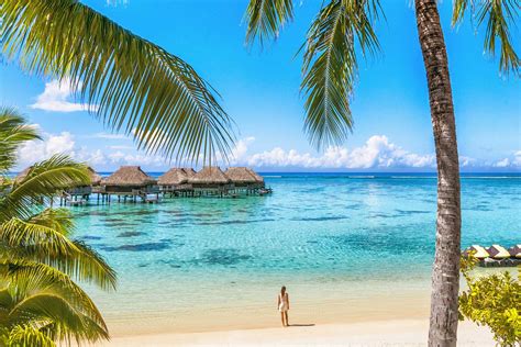 Luxury Tahiti Beach Resort Travel Tourist Walking On Polynesian Beach