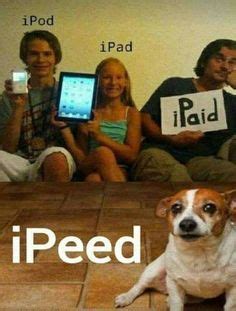 We have made a list of funny jokes that will make you laugh out loud, strictly for adults only. 45 Really Funny Clean Jokes And Puns | Laugh Away ...