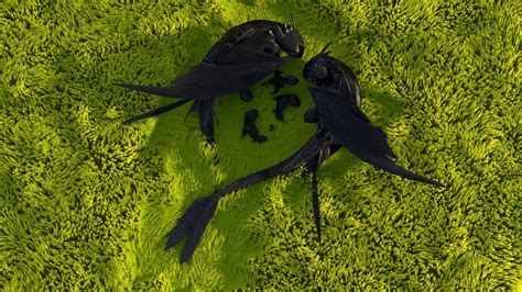 Two Black Birds Laying On Top Of Green Grass In The Middle Of An Aerial