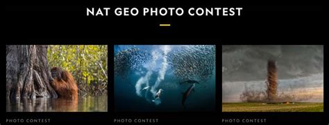 13 Best Wildlife Photography Competitions To Try In 2024 Photographyaxis