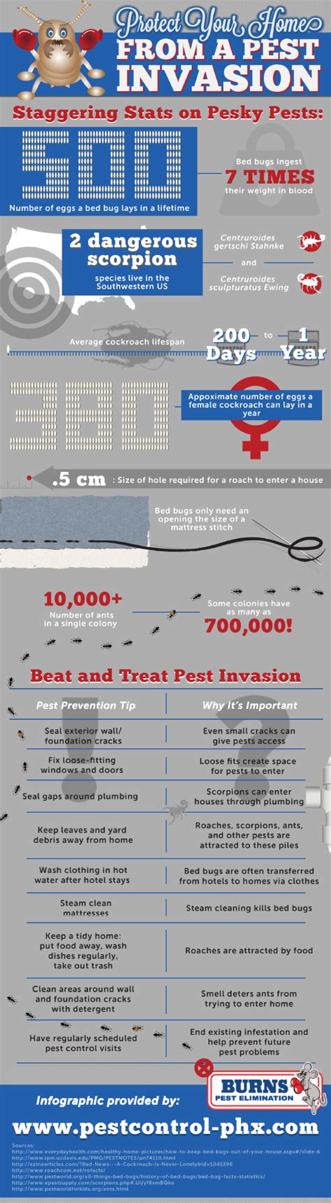 Does do it yourself termite control work. 11 Do It Yourself Pest Control and Extermination Tips | LandLord Station