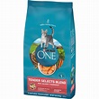 Buy purina one dry cat food tender selects blend wth salmn ...