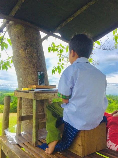 treehouse serves  virtual classroom  bohol kid philippine