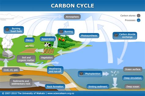 Carbon Dioxide Communicating Science 2017 Section 211
