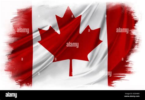 Canadian Flag On Plain Background Stock Photo Alamy