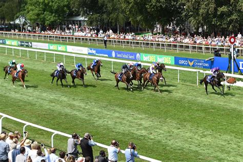 Newmarket Races Tips Racecards And Best Betting Preview For Day 1 Of The July Festival On
