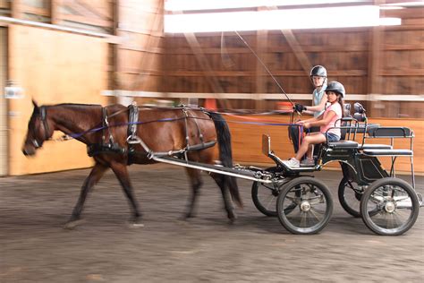 Carriage insurance can insure your cars, trucks, motor homes, rvs, boats, jet skis and atvs too! Therapeutic Carriage Driving - High Hopes Therapeutic Riding