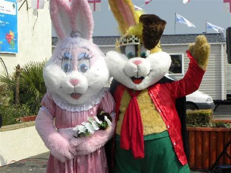 Ty mawr was the perfect setting for a smaller wedding: Ty Mawr Holiday Park - Park Resorts (Towyn, Wales ...