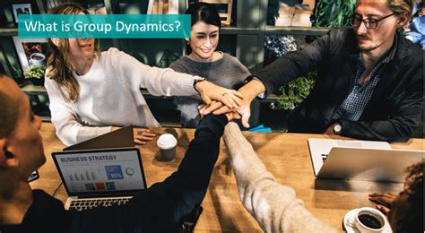 What Is Group Dynamics Talentlyft