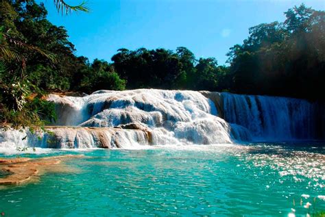 How To Get To Agua Azul And Misol Ha Waterfalls The Travel Brief