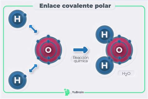 Definición y ejemplos de enlace polar en química Química YuBrain