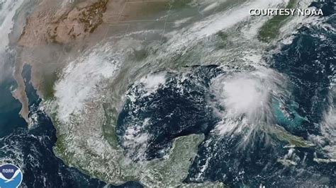 Tropical Storm Sally To Strength To Hurricane Forecaster Says World