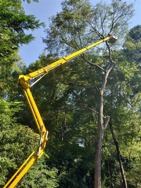 Tree service company in lawrenceville, ga. Lawrenceville GA Tree Service | E-Z Out Tree Service ...