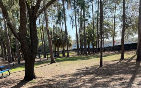 17 Best Dog Parks In Tampa Off Leash Fun Ftw