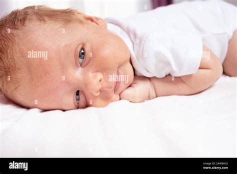 Portrait Of Newborn Infant Baby Boy Laying On The Belly Close Face Crop