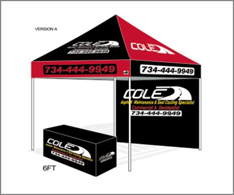 Custom 10x10 canopies are the best for versatility. 10x10 Custom Canopy With Enclosure Walls top only cole C1057