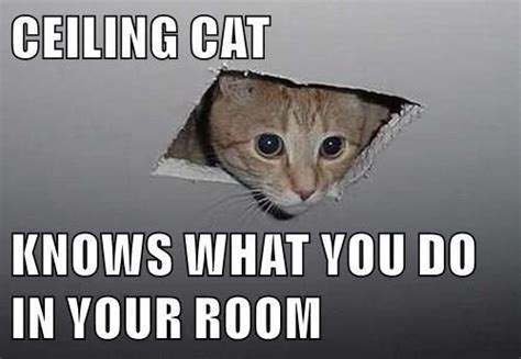 Ceiling Cat Knows What You Do In Your Room Funny Cat Memes Memes