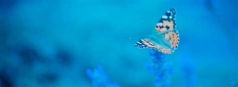 Maybe you would like to learn more about one of these? FB Cover Photos For Girls 08 - 850 x 315