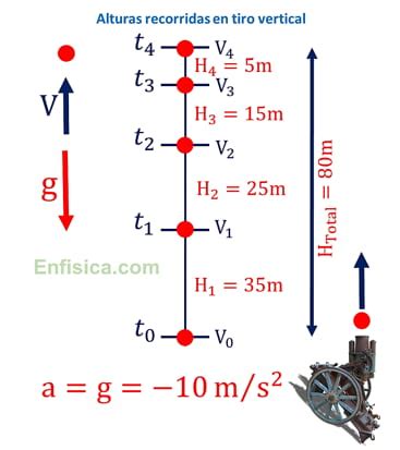 CAÍDA LIBRE Y TIRO VERTICAL en Física COMPLETO