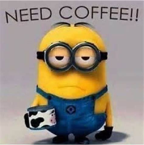 Need Coffee Minions Funny Minion Pictures Minion Pictures Minions