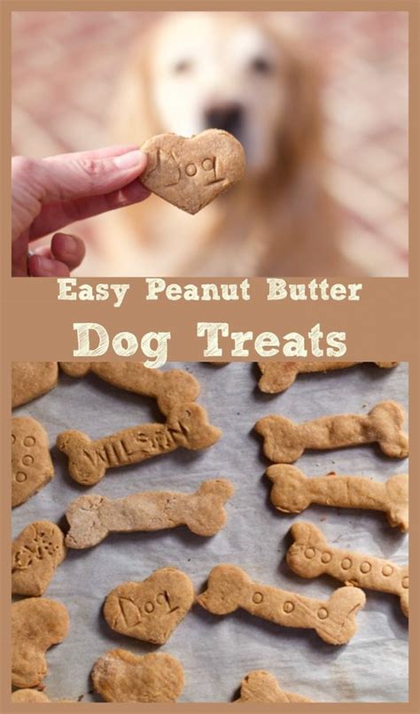 Best 4 Ingredient Peanut Butter Dog Treats Recipe