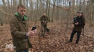 Forst erklärt: Drei Studenten bringen den Wald ins Internet | NDR.de ...