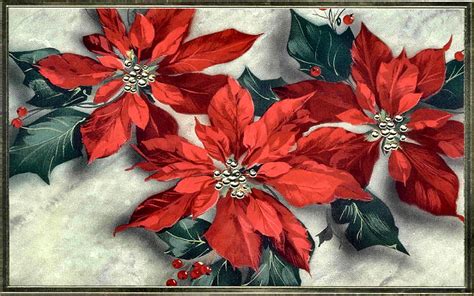 Poinsettias 1 Art Christmas Painting Wide Screen Flowers