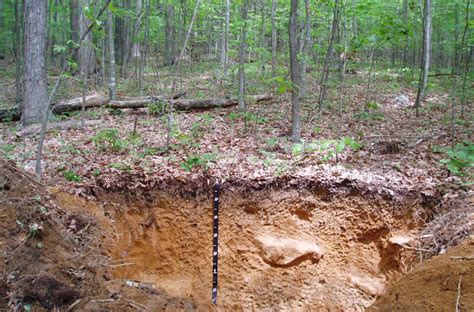 Usda Forest Service Soils