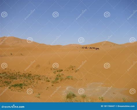 Desert Wasteland Sand Dune Sahara Stock Image Image Of Sahara