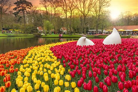 Visitar Lisse • Holanda Amsterdam em 2021