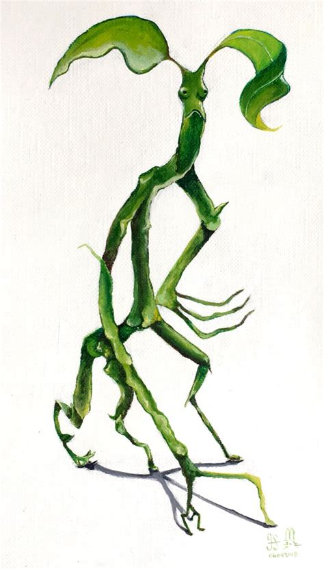 Bowtruckle By Theivorybunny On Deviantart Harry Potter Creatures