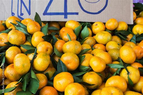 Bunch Of Fresh Mandarin Oranges On Market Stock Photo Adobe Stock