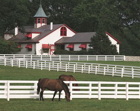 Kentucky Horse Farms Kentucky Horse Park Horse Farms