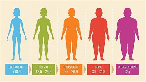bmi in adults is yours healthy and if not how can you lose weight everyday health
