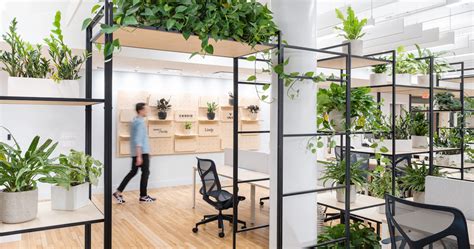 Biophilic Office Design Bringing The Outdoors In