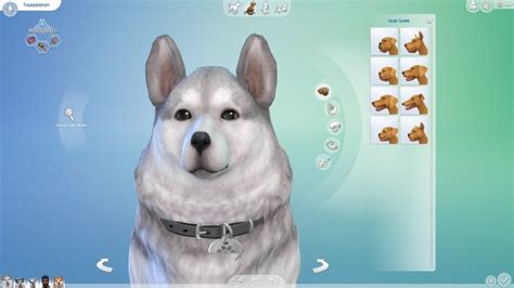 Small Dog Breeds Sims 4