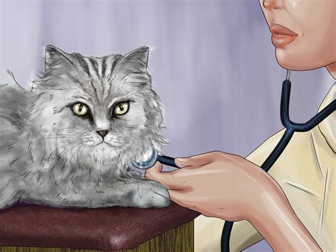 It might also be a good idea to consult your cat's diet with your veterinarian to. How to Feed a Diabetic Cat: 13 Steps (with Pictures) - wikiHow