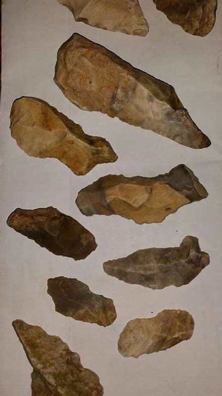 Paleo Indian Artifacts Identification Value Guide The Official