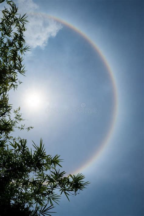 Sun Halo In Blue Sky With Cloud Behind The Leaves Stock Image Image