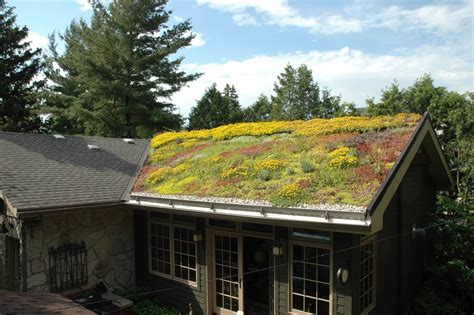 Green Roofs Why You Must Consider The Idea Of Green Roofs Leaf Lette