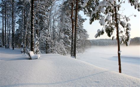 Landscape Scenery Winter Hd Desktop Wallpapers 4k Hd