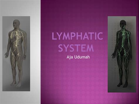 Ppt Lymphatic System Powerpoint Presentation Free Download Id2264326